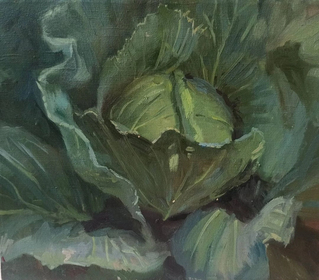 Portrait of a cabbage